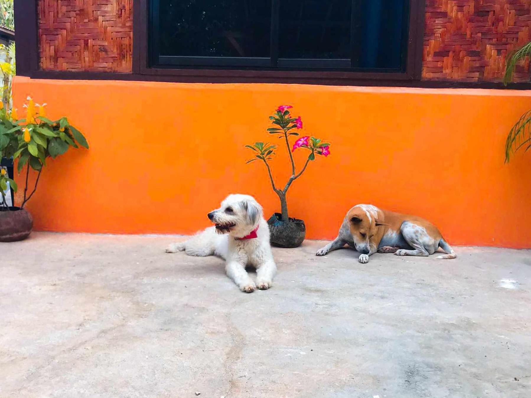 Esperanza Don Leo'S Bnb المظهر الخارجي الصورة
